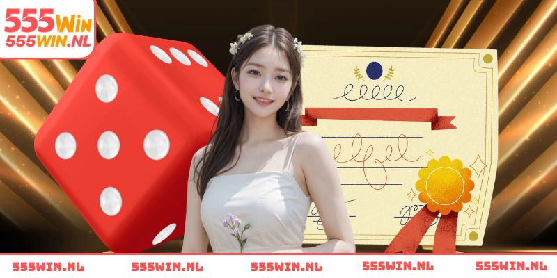 Tiêu chuẩn để được nhận giấy phép hoạt động 555WIN